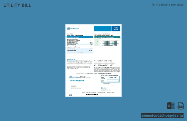 USA Conedison Stromrechnung Version 3 Beispielvorschau